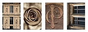 Wall_Art_Alphabet_Photography_Art_ 846